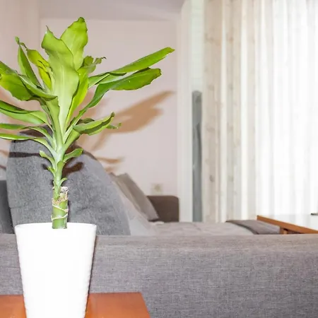 Sun Apartment